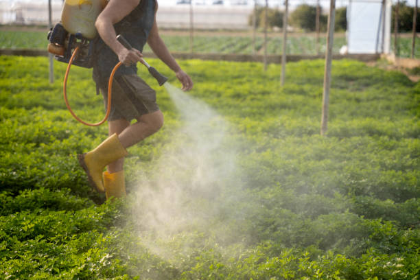 Best Pest Removal Services  in Waimea, HI