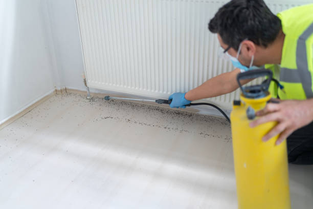 Best Pest Removal Services  in Waimea, HI